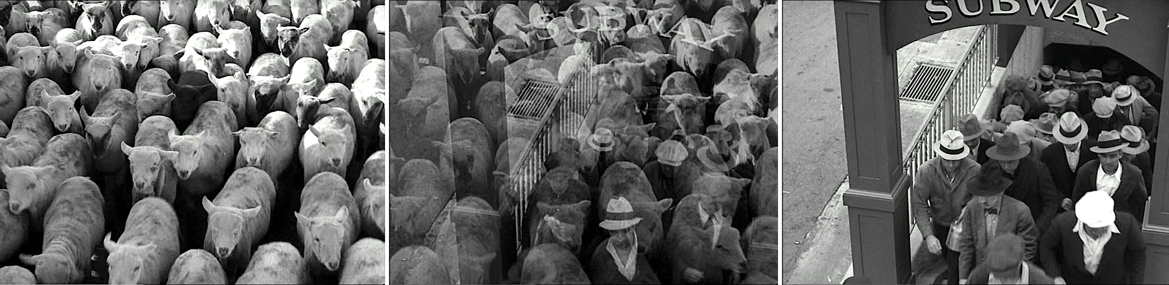 Les Temps modernes (Modern Times, 1936) de Charles Chaplin, édité en vidéo par MK2/Potemkine.