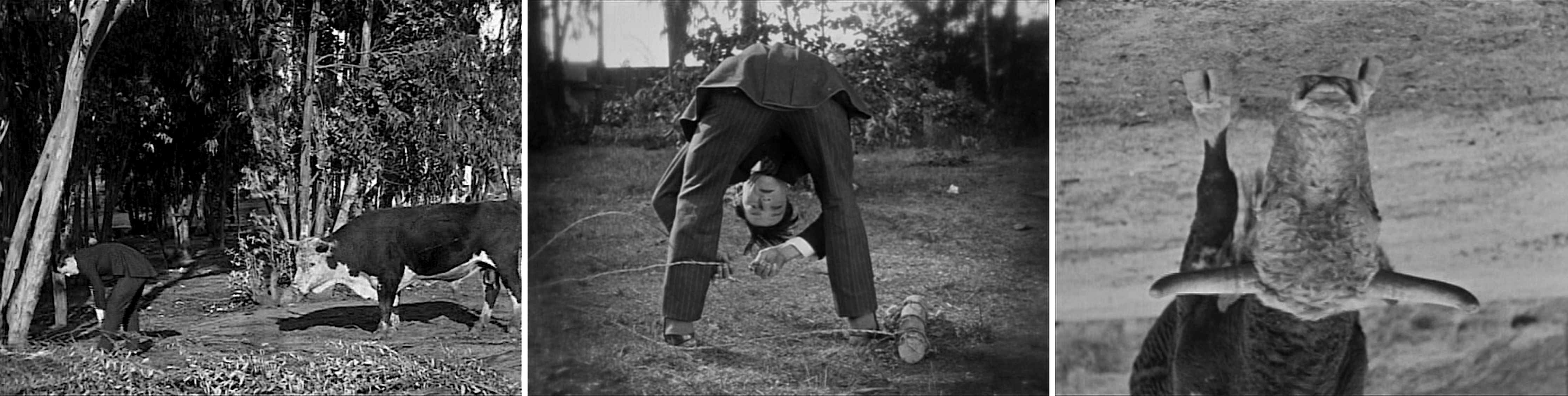 Les Fiancées en folie (Seven Chances, 1925) de Buster Keaton, édité en vidéo par Elephant Films et MK2.