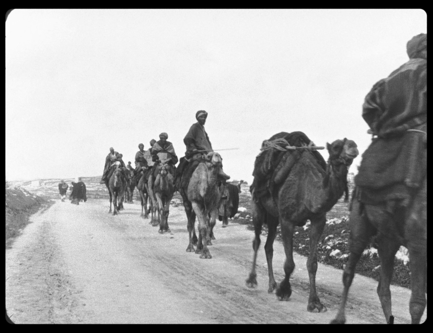 Caravane de chameaux (1897, opérateur : Alexandre Promio)