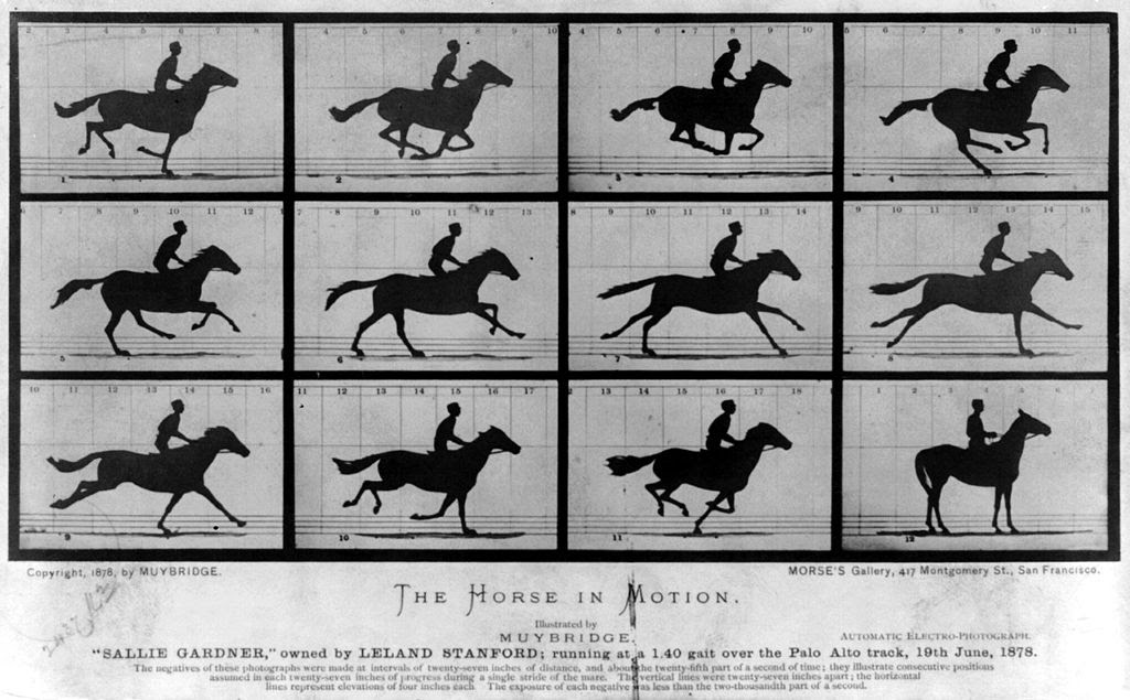 The Horse in motion, Edward Muybridge, 1978